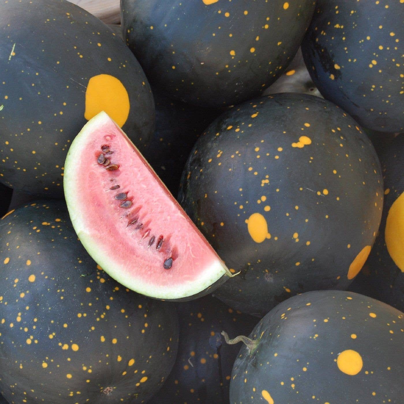 Sow the Magic - Wholesale Plant Seeds - Moon and Stars Watermelon Tarot Seed Packet1