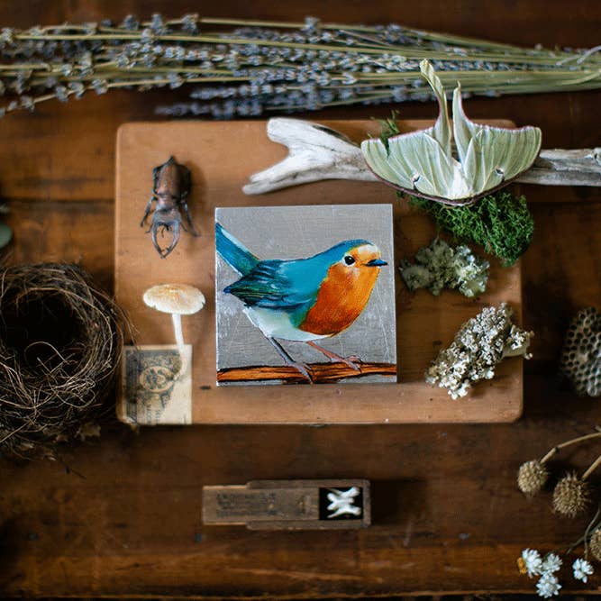 European Robin for wholesale by Joseph Bradley Studio