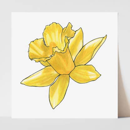 Daffodil Print for wholesale by Hey Hon