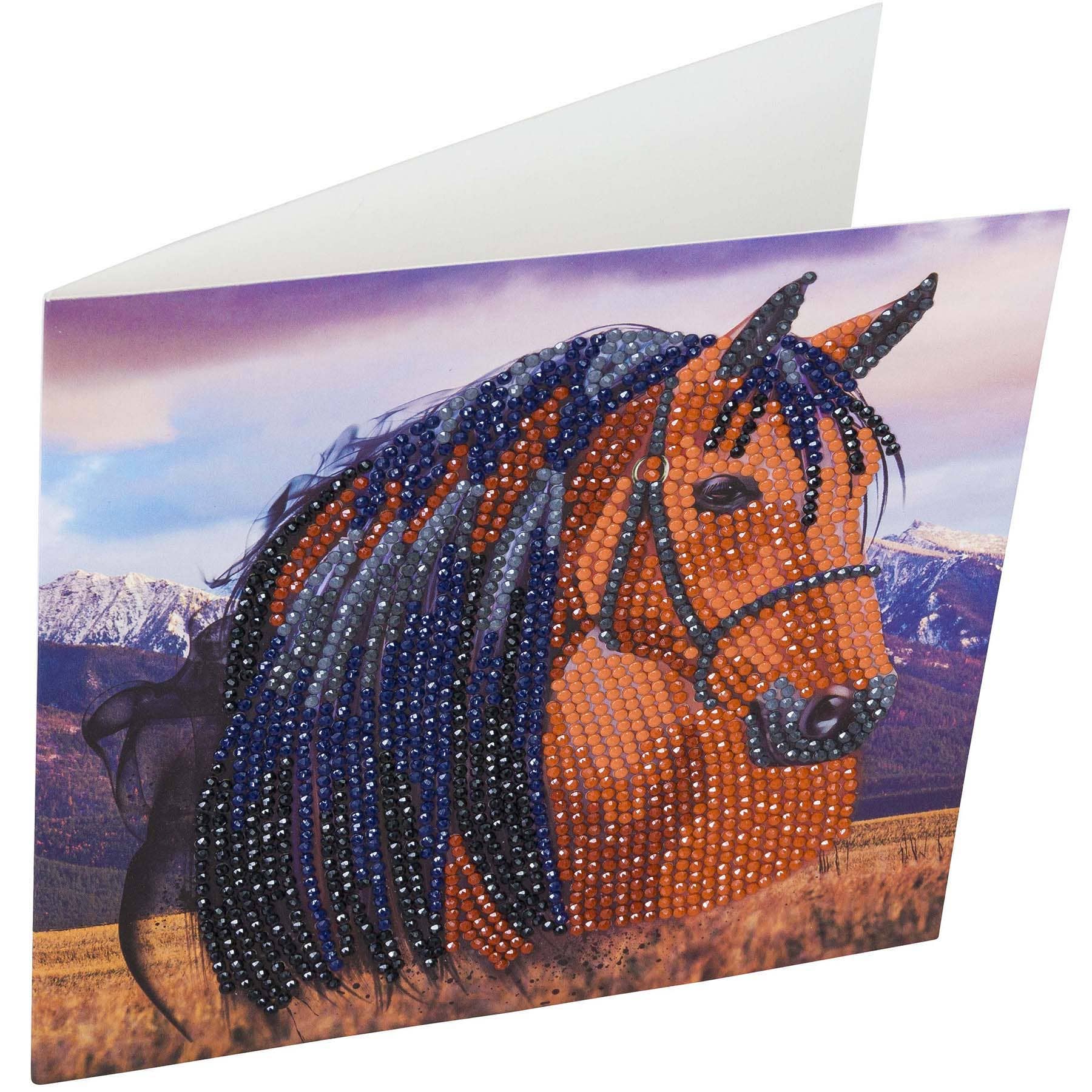 Outset Games and Cobble Hill Puzzles - Wholesale DIY Craft Kit - Crystal Art Card Kit: Horse1
