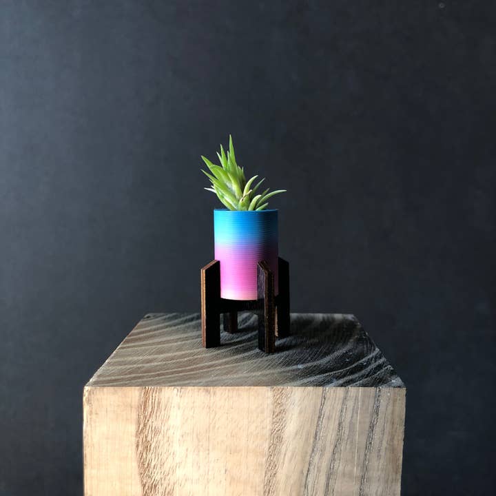 Mid Mod Mini Air Plant Holder + Live Mini Air Plant, Pink Blue Ombre for wholesale by So Very Lovely