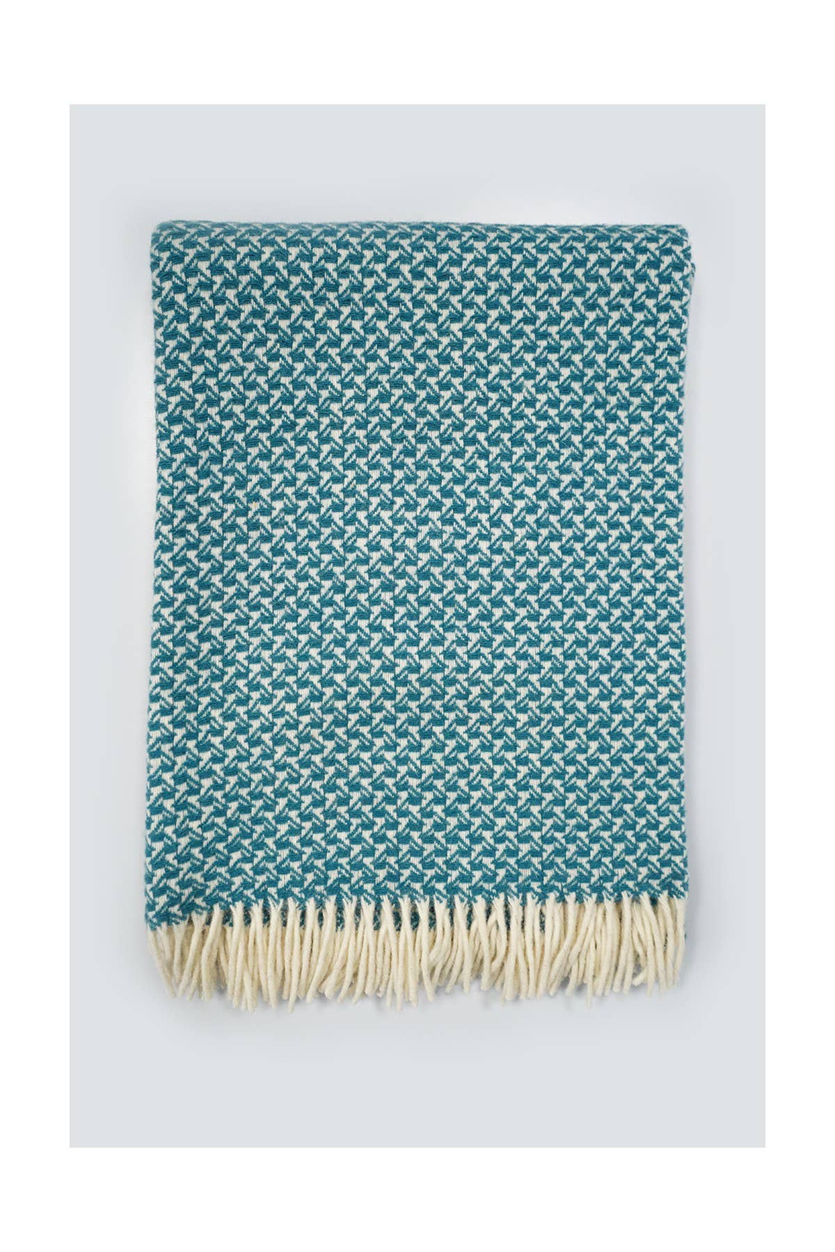 Chicoração - Vendita all'ingrosso Plaid - Coperta Rondine - più colori72