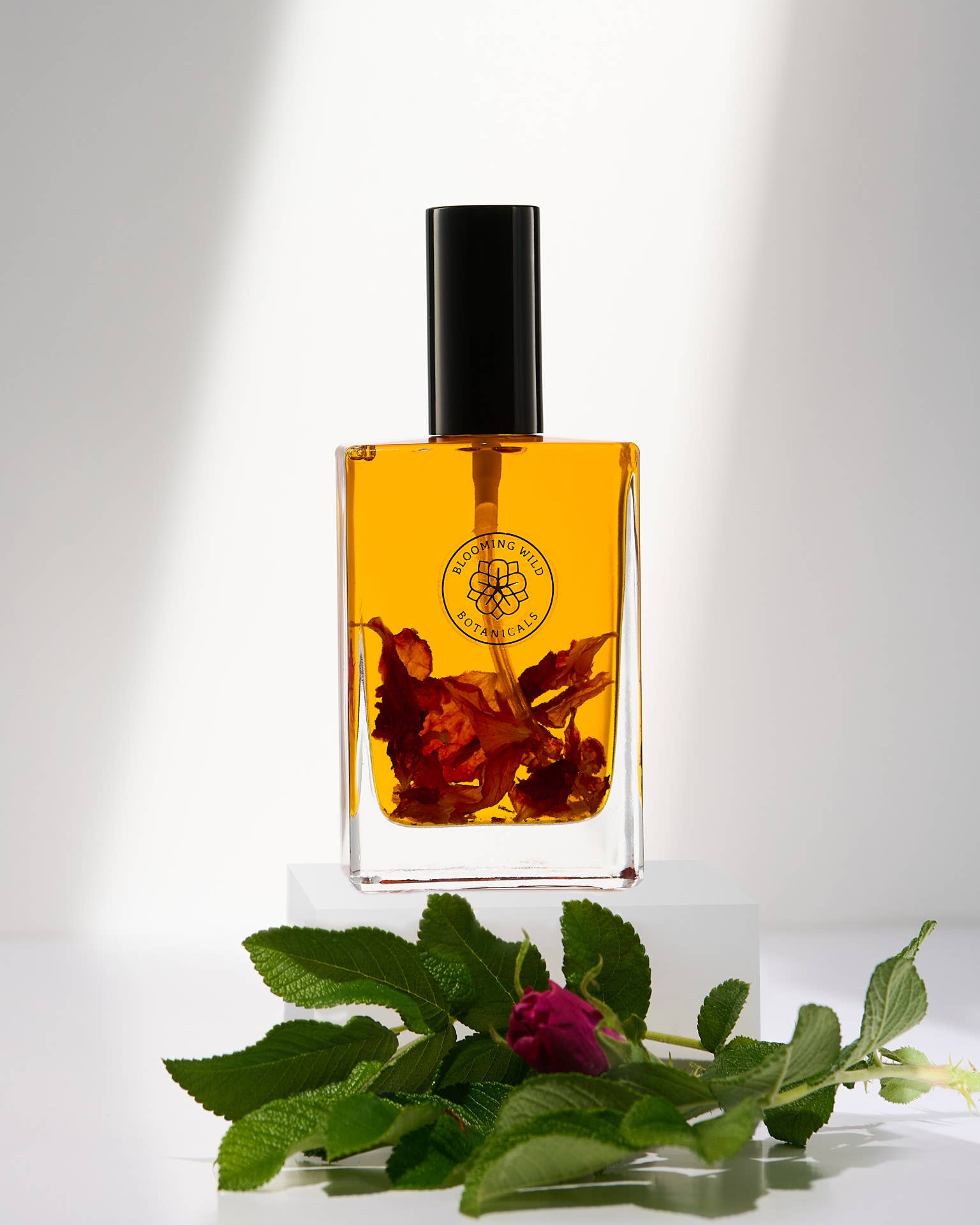 Blooming Wild Botanicals - Wholesale Bath/Body Oil - Meadow Botanical Body Oil | Ylang Ylang + Grapefruit