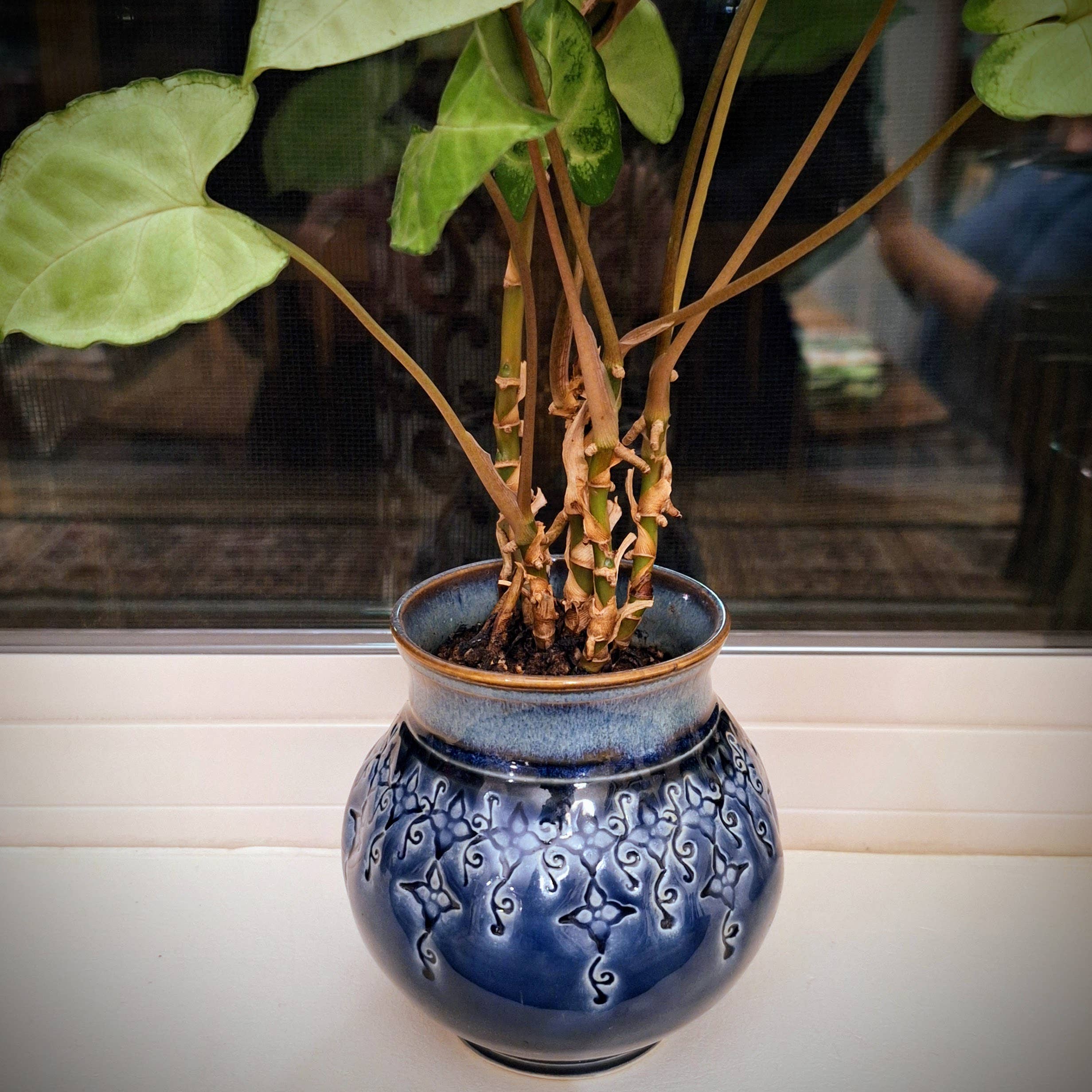 Plays in Mud Pottery - Wholesale Plant Pot - Large Tabletop Planter - Handmade Pottery Planter - MTO6