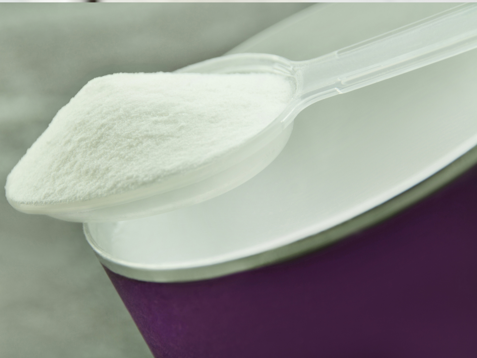 Puriva Nutrition - Wholesale Protein/Superfood Powder - Inulin powder, from Chicory Root, 1 pound, Puriva Nutrition4