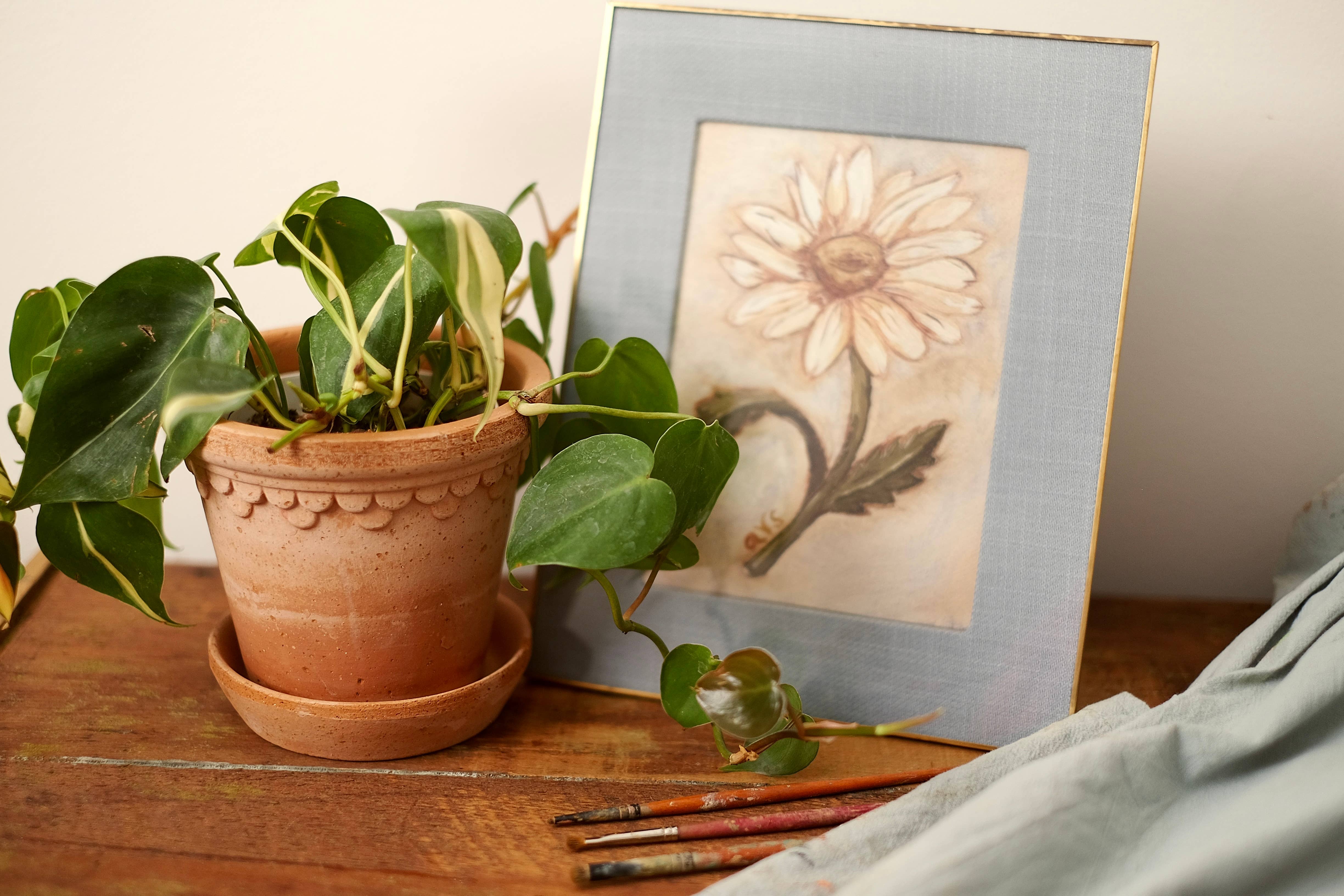 annalisa v. sawtell - Wholesale Art Print - January Birth Flower Fine Art Print | Carnation | 5x710