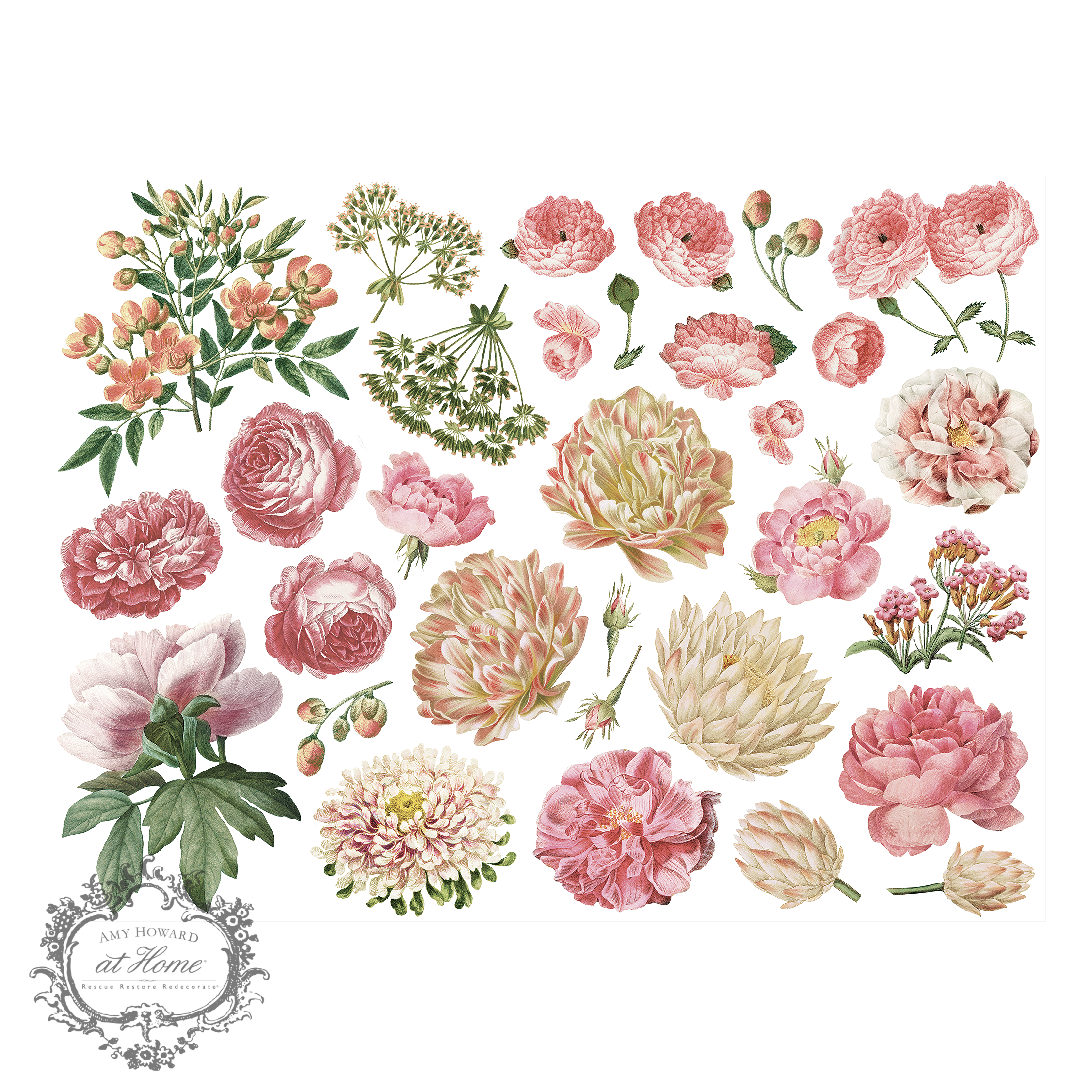 Amy Howard at Home - Wholesale Sublimation Transfer - Peonies - Color Transfer 16"x12"0