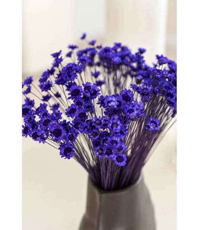 .AVPV. Studio - Wholesale Artificial Flowers - Glixia mini star flowers13