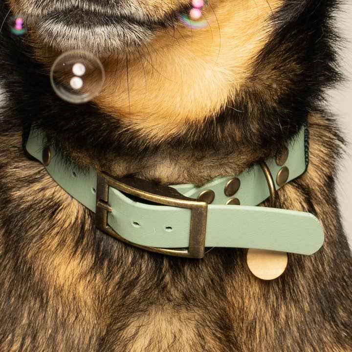 KITSUNE.DOG - Vente Collier – chien - Collier biothane vert d'eau - MINT