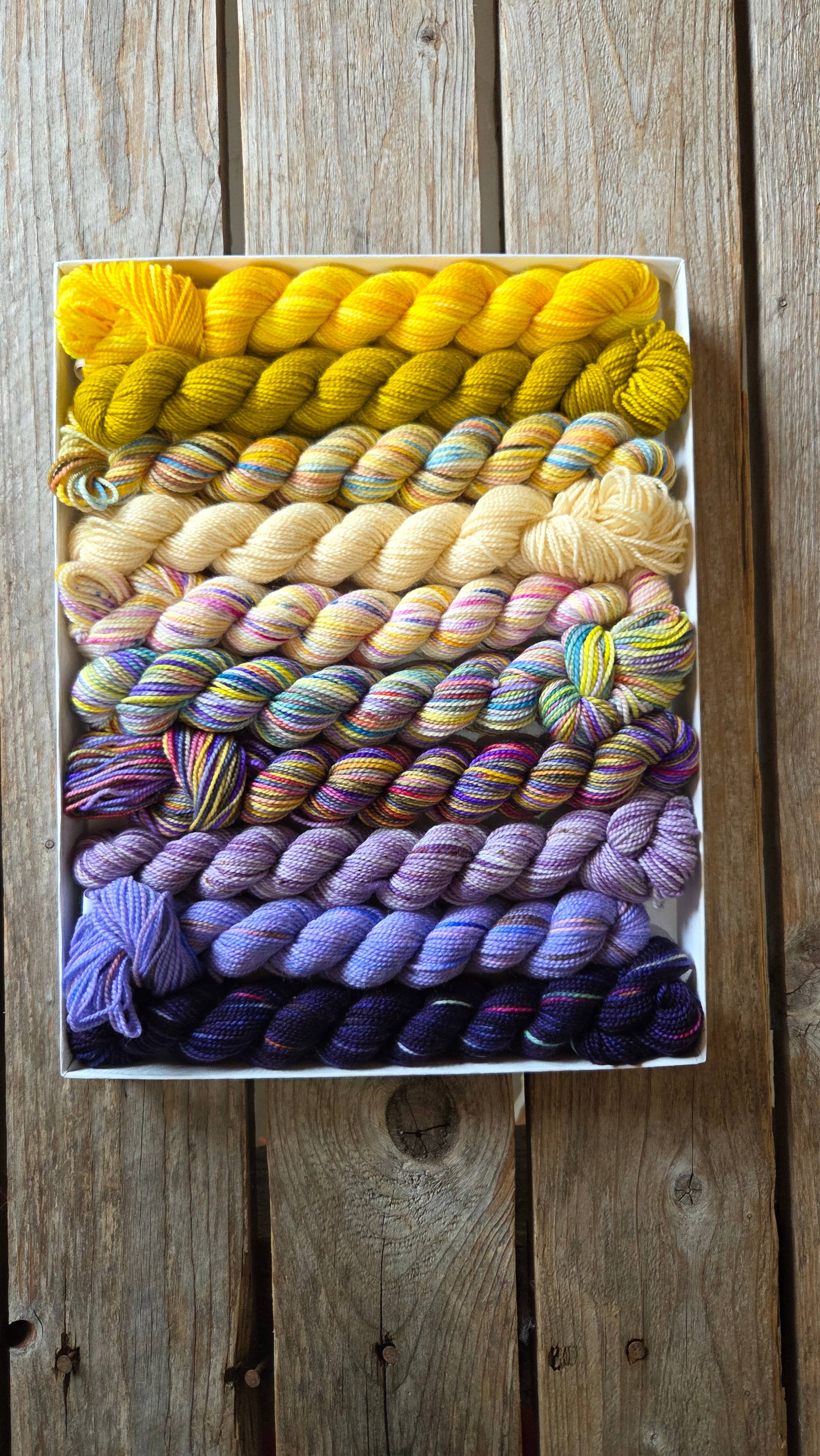 Koigu Wool Designs - Wholesale Yarn - Wibbly-Wobbly Scarf Mini Skein Sets (LYS DAY 2026)30