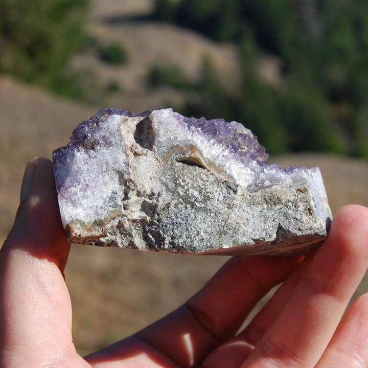 Caspar Curiosities - Wholesale Spirituele steen/kristal - 3,25 inch 216g Amethist Kristal Stalactiet Schijf, Uruguay4