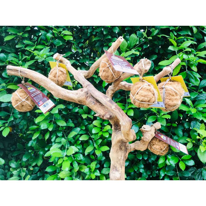 Woodies dog chew toys - Wholesale Pet chew toy – Dog - Nutties coconut husk ball toy for DOGS4