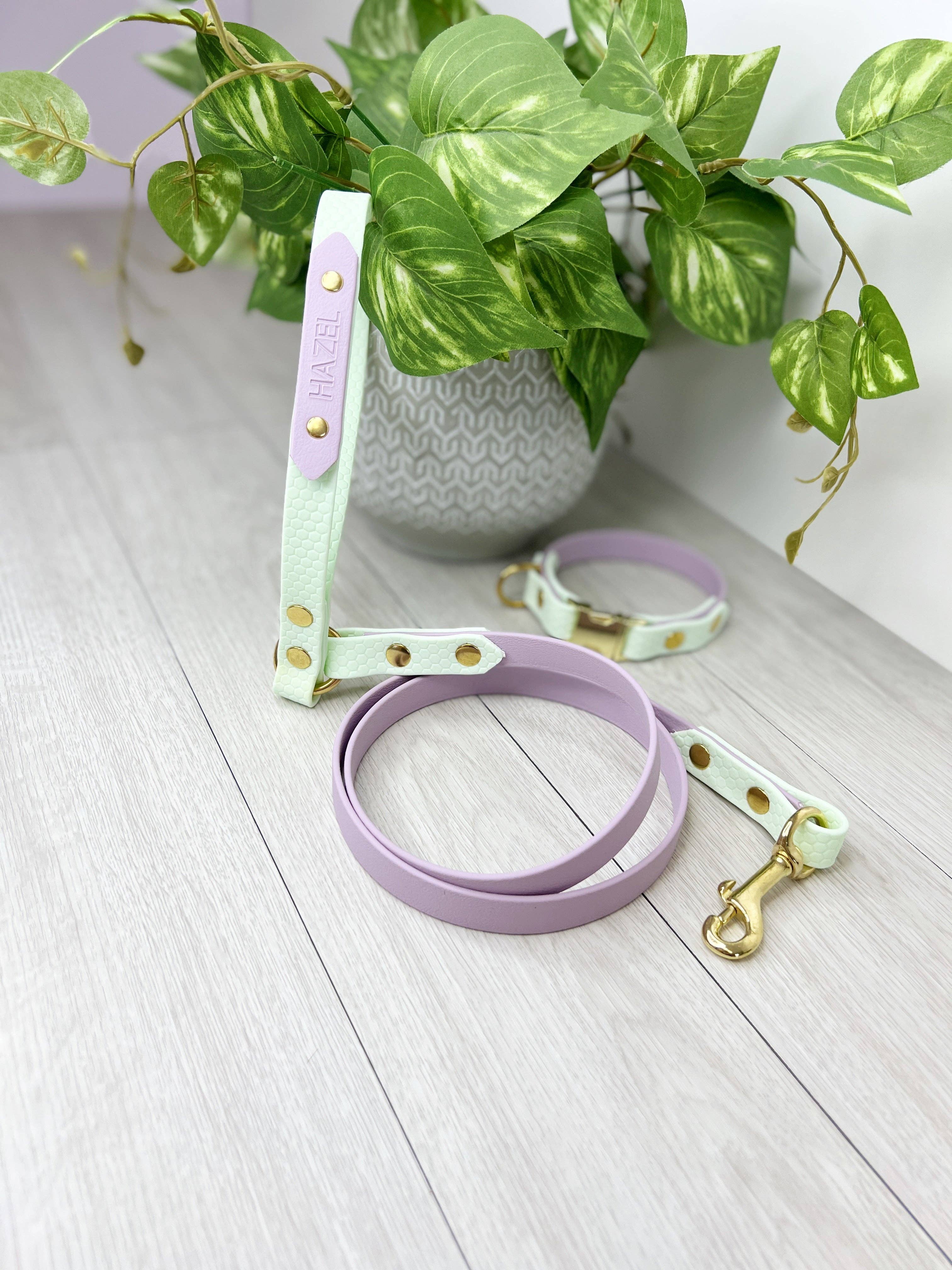 My Pawchella - Wholesale Hondenriem - Hond - *Ontwerp je eigen* biothane / gekleurde nylon hondenriem4