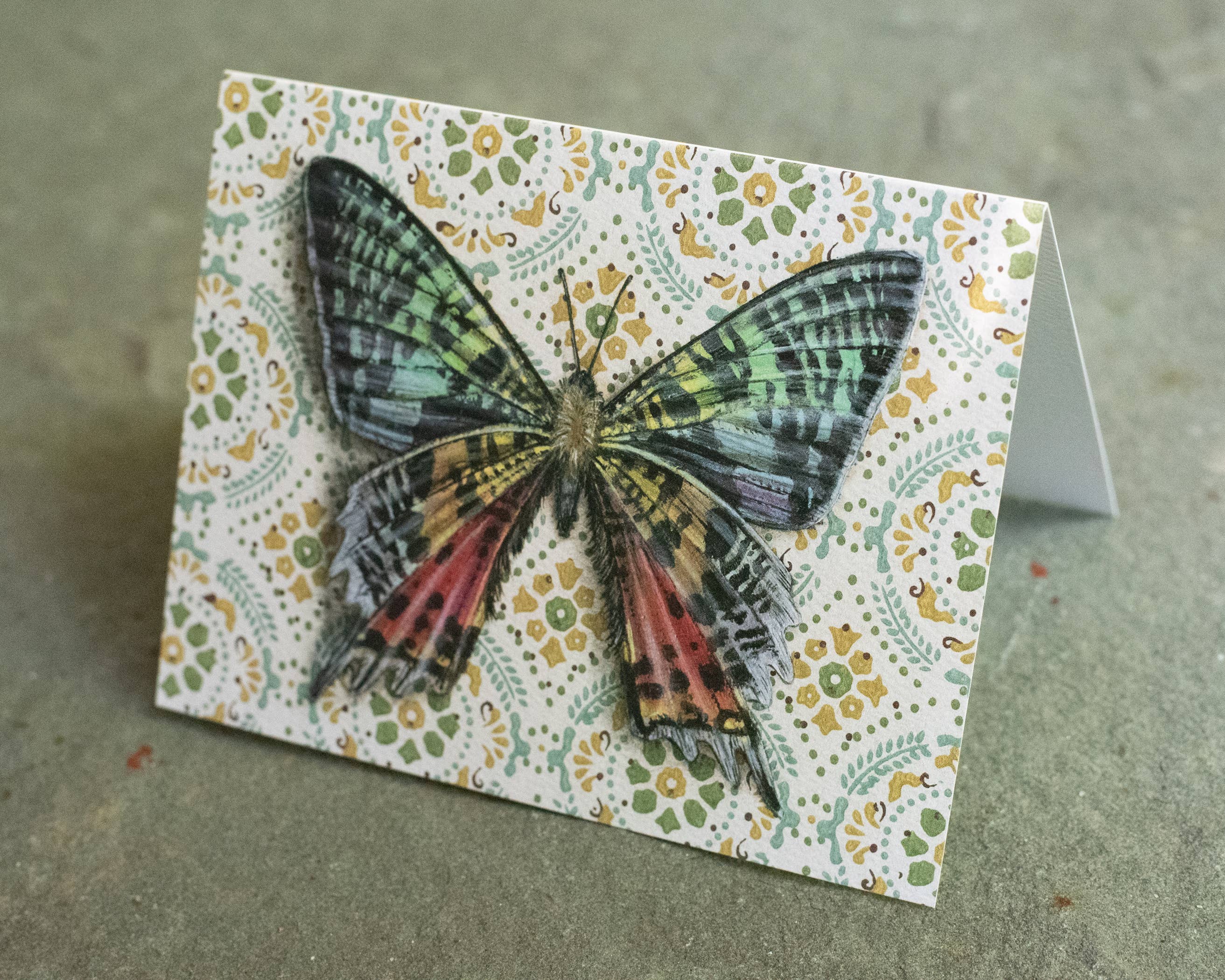 Emily Uchytil – Engroshandel Hverdagshilsen kort – Madagascar Sunset Moth - Note-kort4