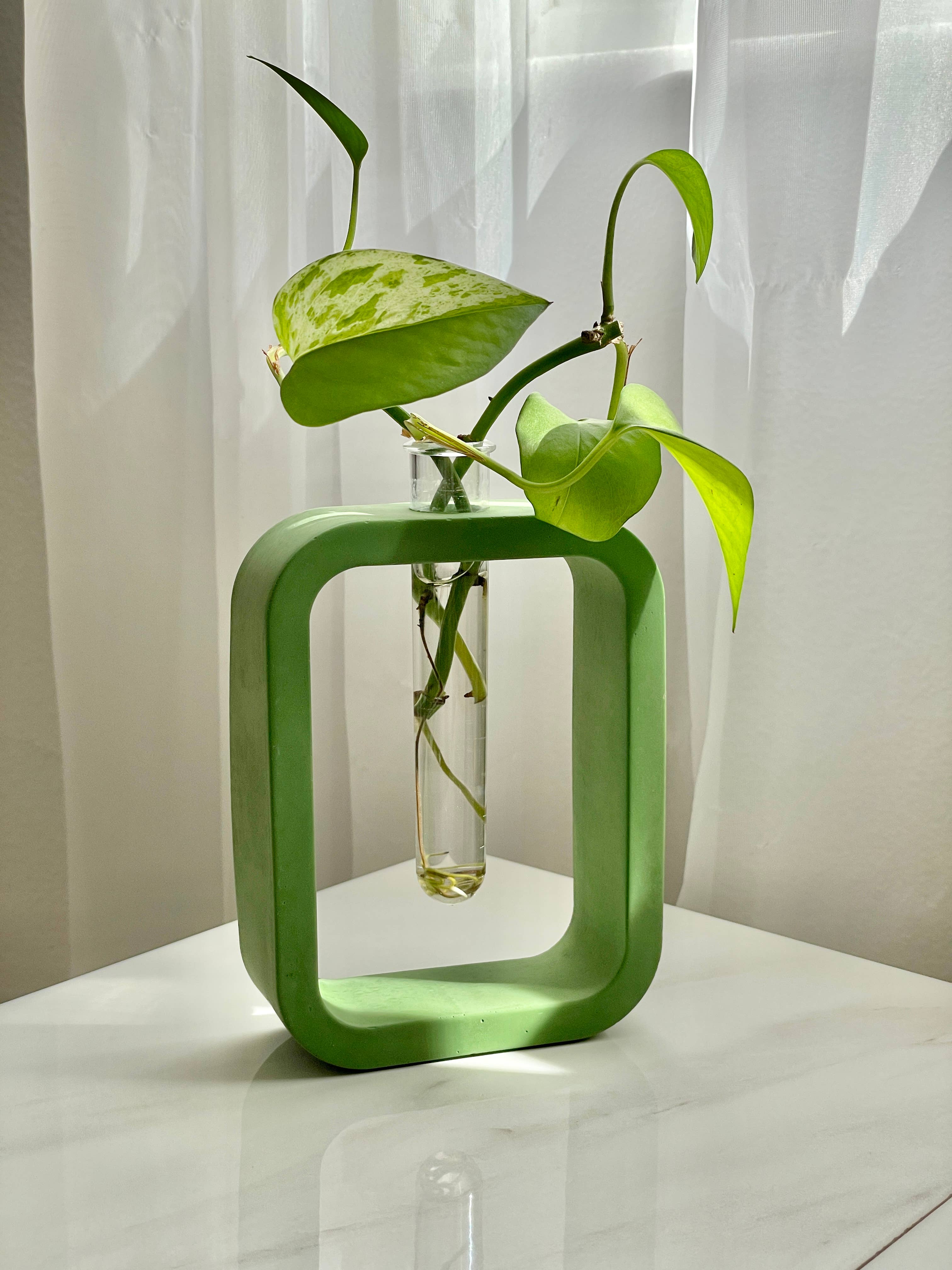 Need it Right MEOW – Großhandel Vasen – Betonständer mit Glas-Propagationsröhrchen und Vase [bunt]5