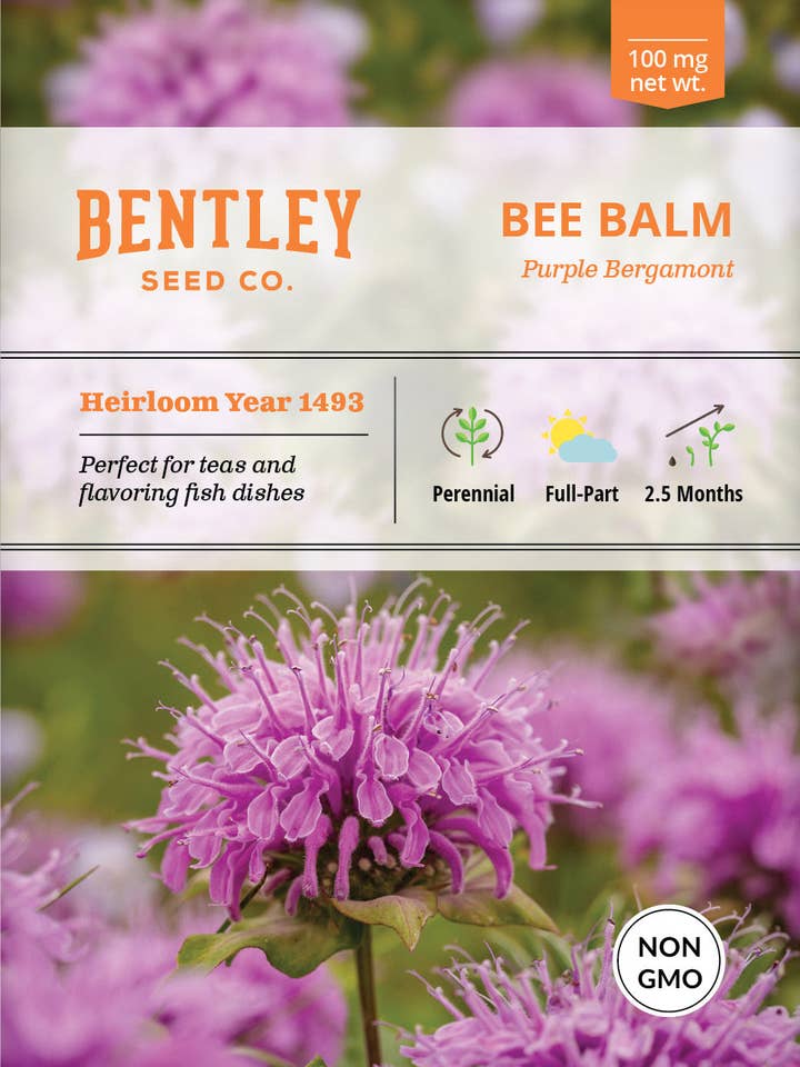 Bee Balm Seed Packets for wholesale by Bentley Seed Co.