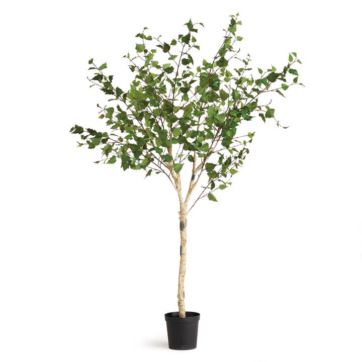 Napa Home & Garden - Wholesale Artificial Plant - Birch Tree Drop-In 6'4"