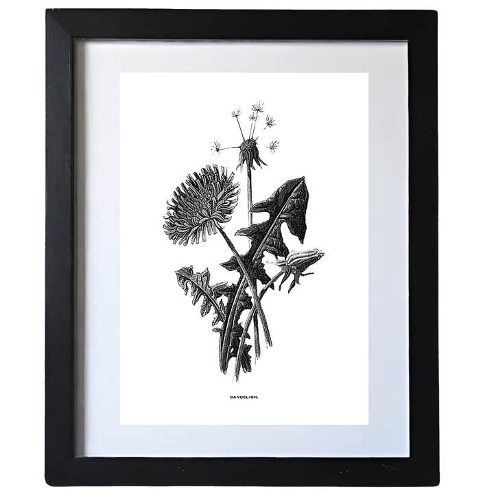 Coultura – wholesale Gallery wall set – Framed Vintage Botanical Floral Art Prints: Set Of Four4