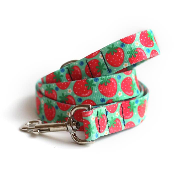Clive and Bacon, LLC - Wholesale Pet Leash - Dog - Berry Cute Dog Leash1