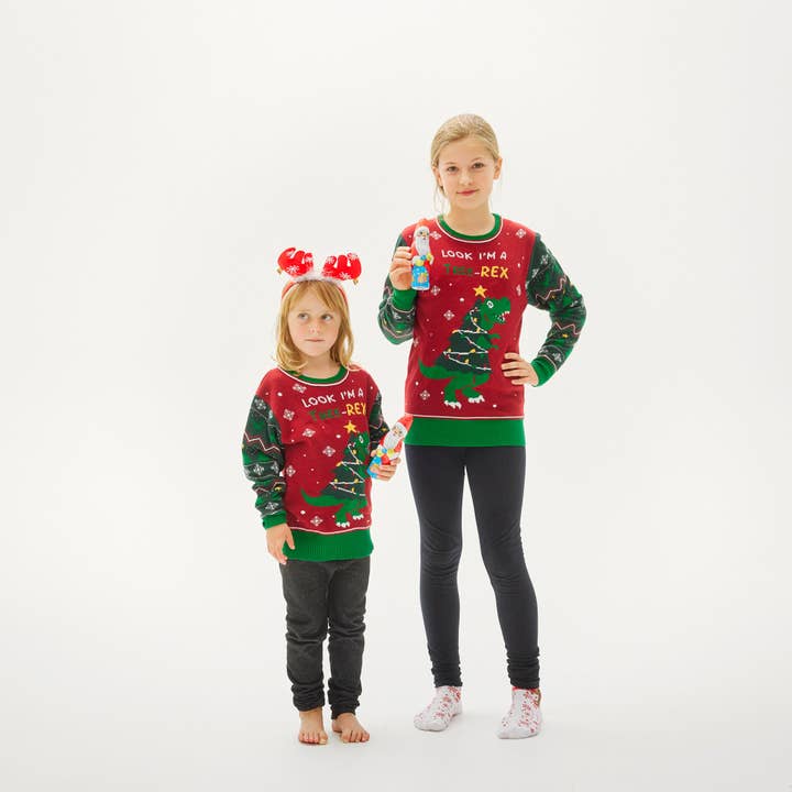 Happy Seasons - Wholesale Knit Sweater - Kids - The Tree-rex Sweater - Kids4