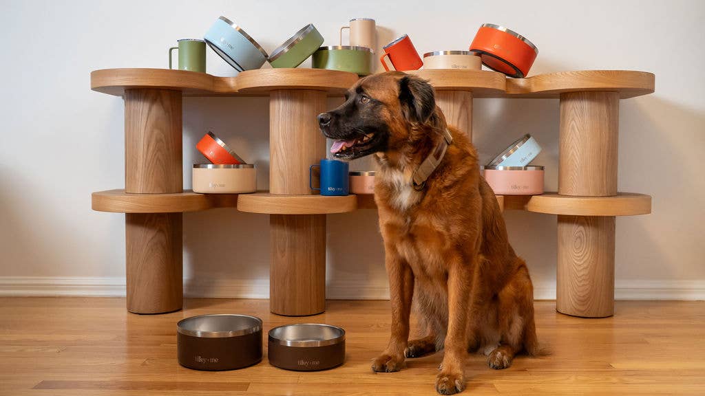 Tilley + Me - Wholesale Pet Bowl - Cat/Dog - Stainless Steel Pet Food + Water Bowl | 32oz and 64oz28