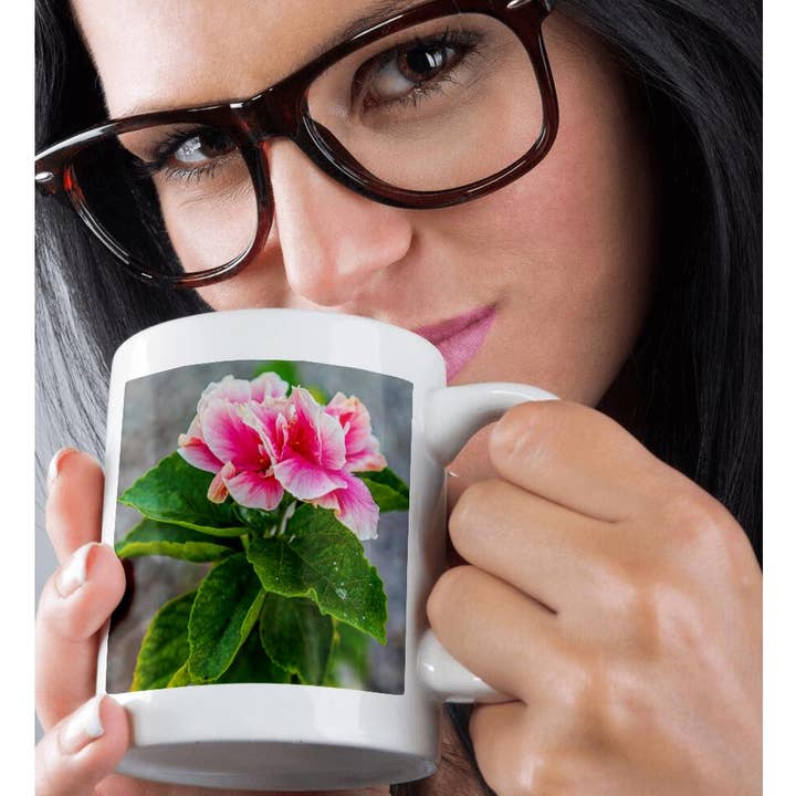 3dRose - Wholesale Coffee Mug - 3dRose, Loreto, Baja California Sur, Mexico. A pink flower along the street., Mug9