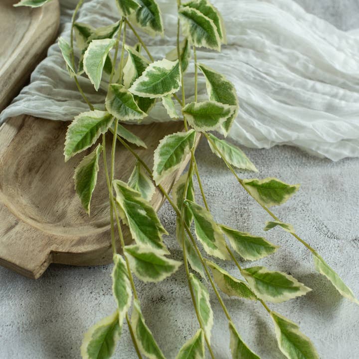 Ragon House - Wholesale Artificial Plant - 24" POTHOS LEAF VINE