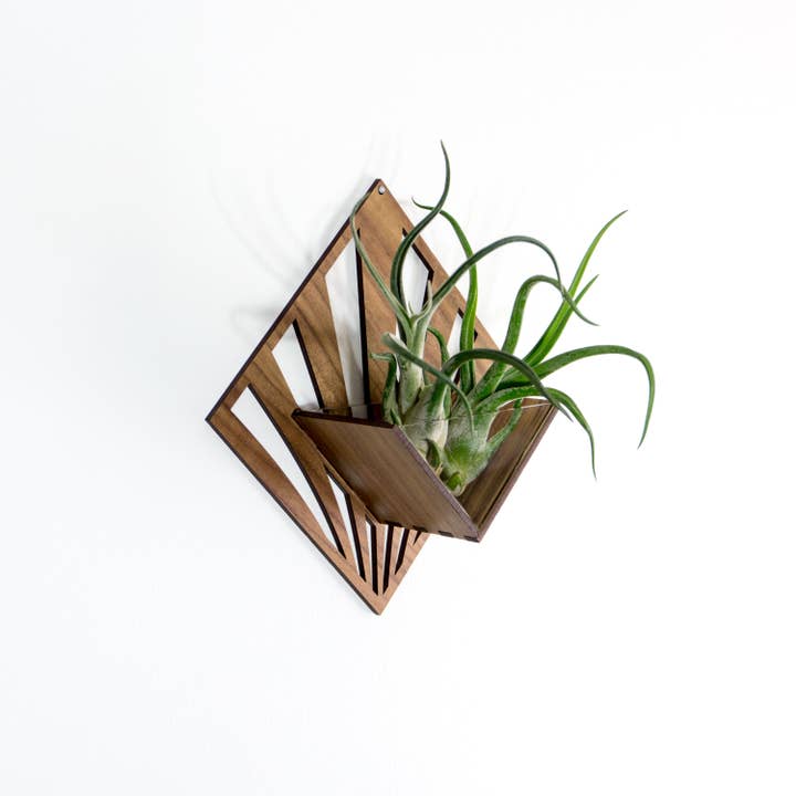 LIGHT RAZOR DESIGN STUDIO - Wholesale Wall planter - Air Plant Holder / Quadrate Wall Hanging Planter 2123
