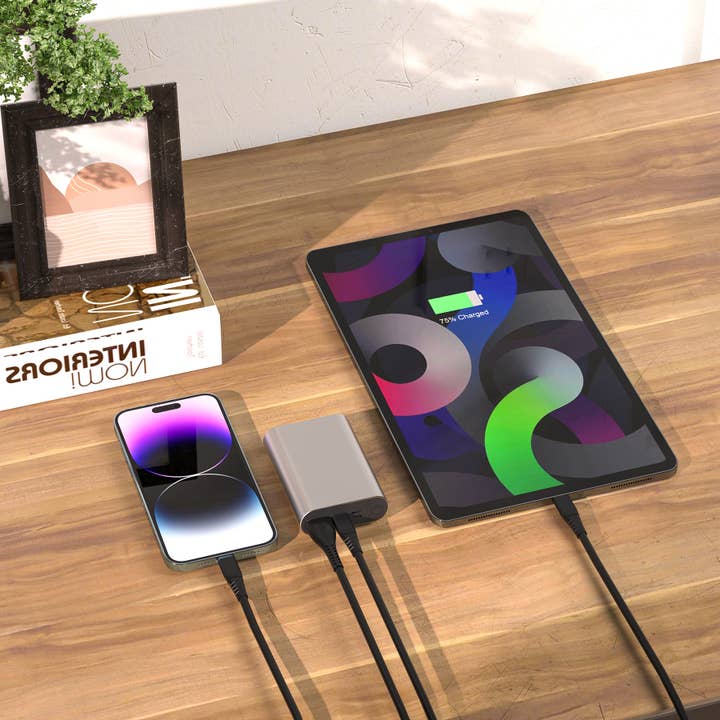 LAX Gadgets - Wholesale Portable Charger - 12,000mAh High-Speed Portable Power Bank – Fast Charging