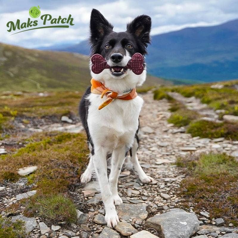 Miro & Makauri – wholesale Pet treats – Dog – Vegan Dog Chews -  the Maks Patch 'BumpiBone'3