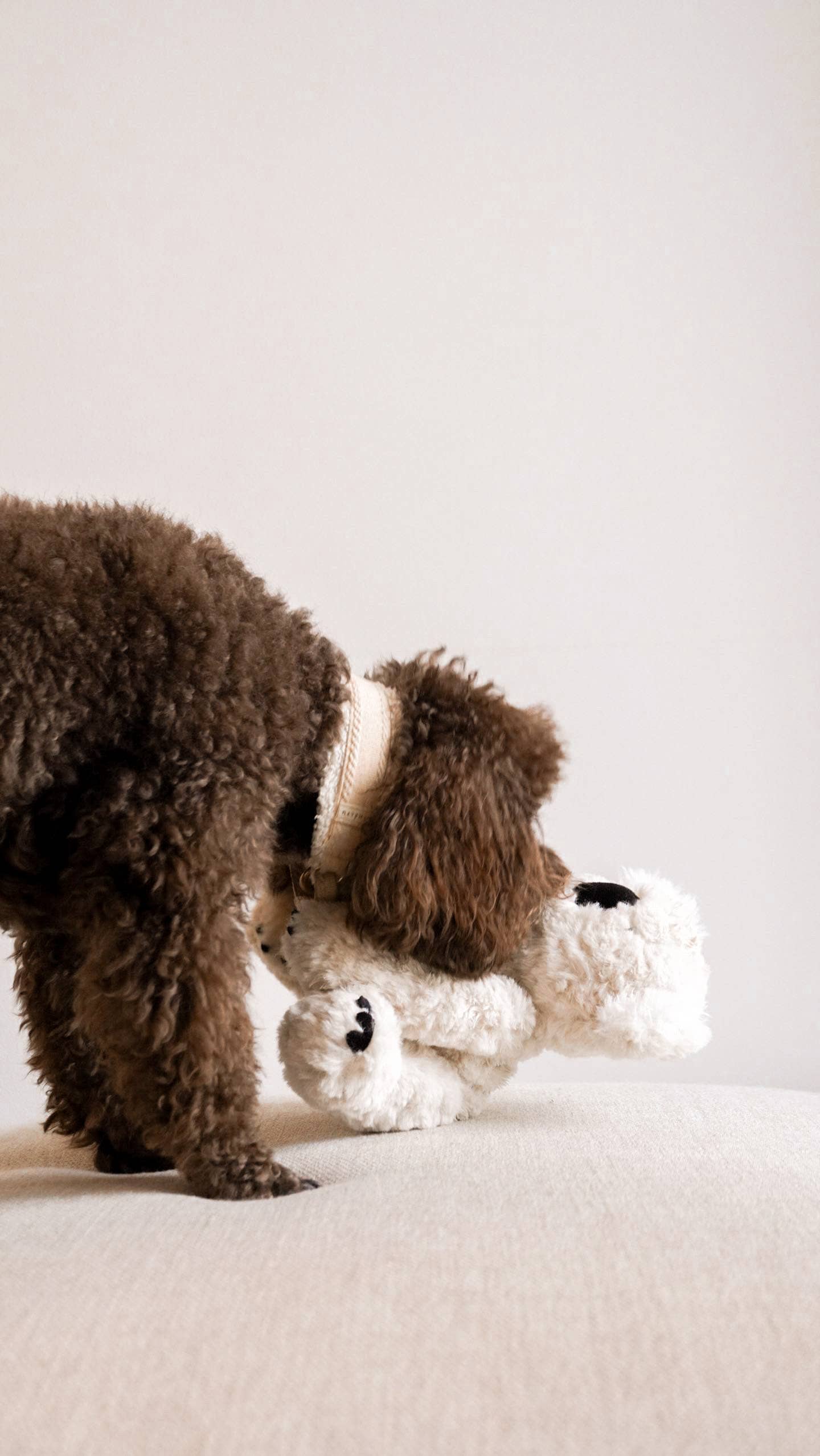 Fur Elise Pets - Wholesale Pet Plush Toy - Dog - Koko Maxi Plushie5