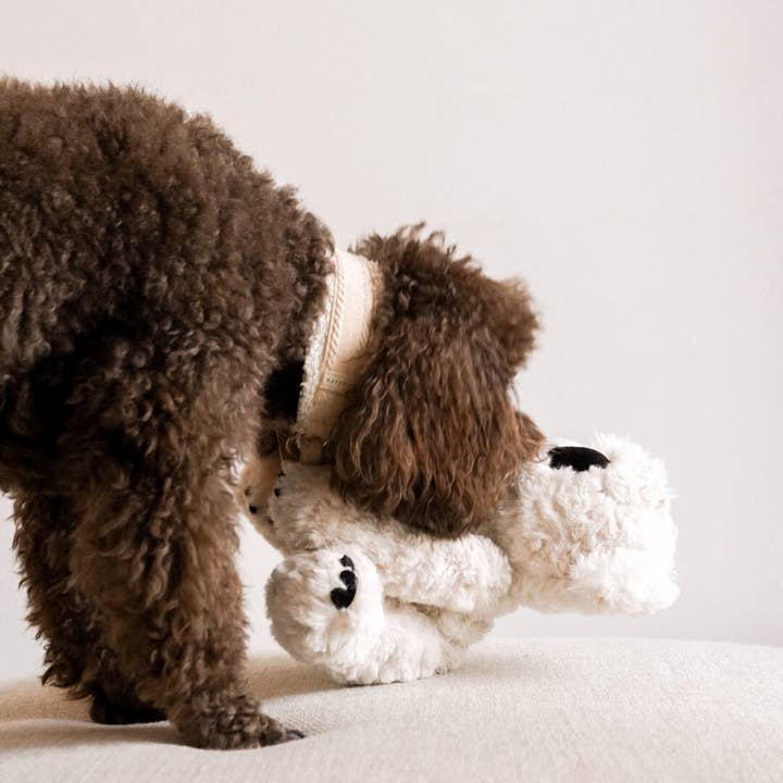 Fur Elise Pets - Wholesale Pet Plush Toy - Dog - Koko Maxi Plushie5