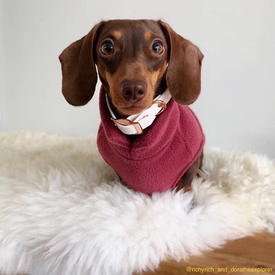 Doghouse – wholesale Pet jumper – Dog – Dachshund Fleece Jumper8