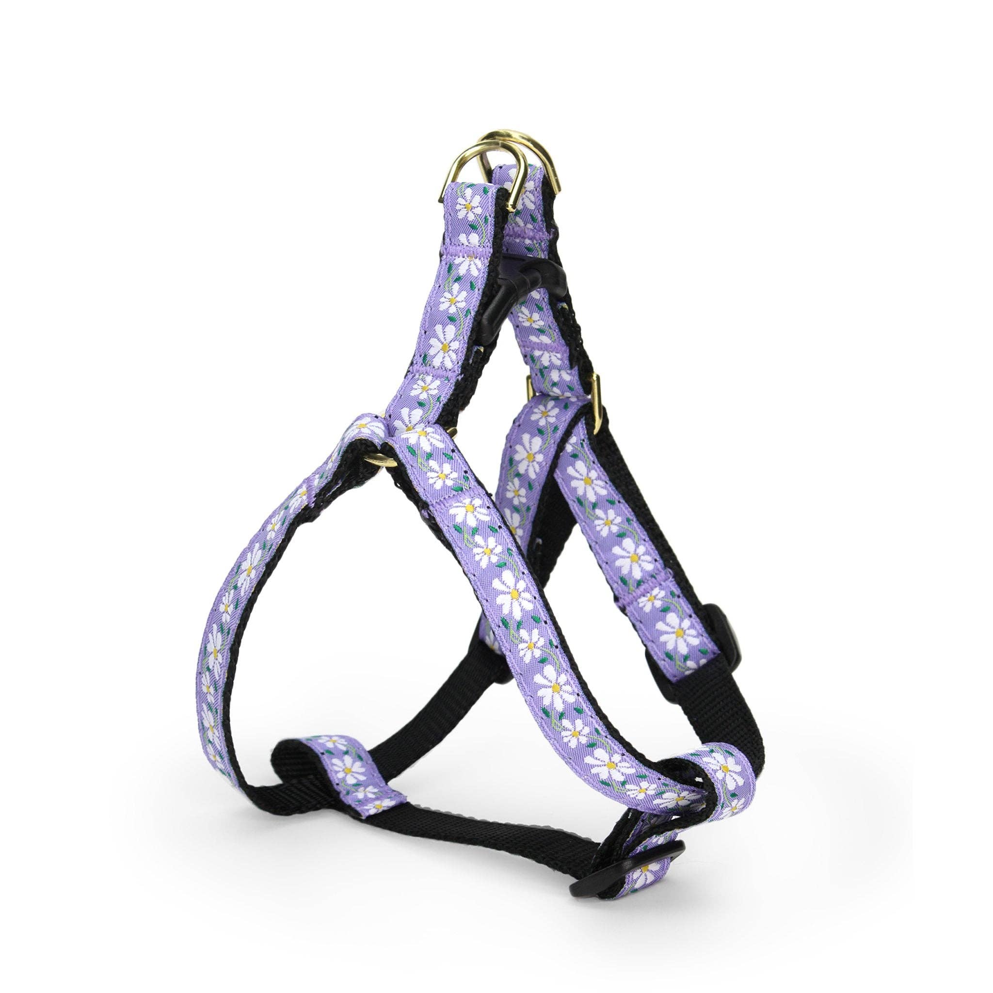Up Country, Inc. – Großhandel Haustiergeschirr – Hund – Daisy Hundegeschirr für kleine Rassen0