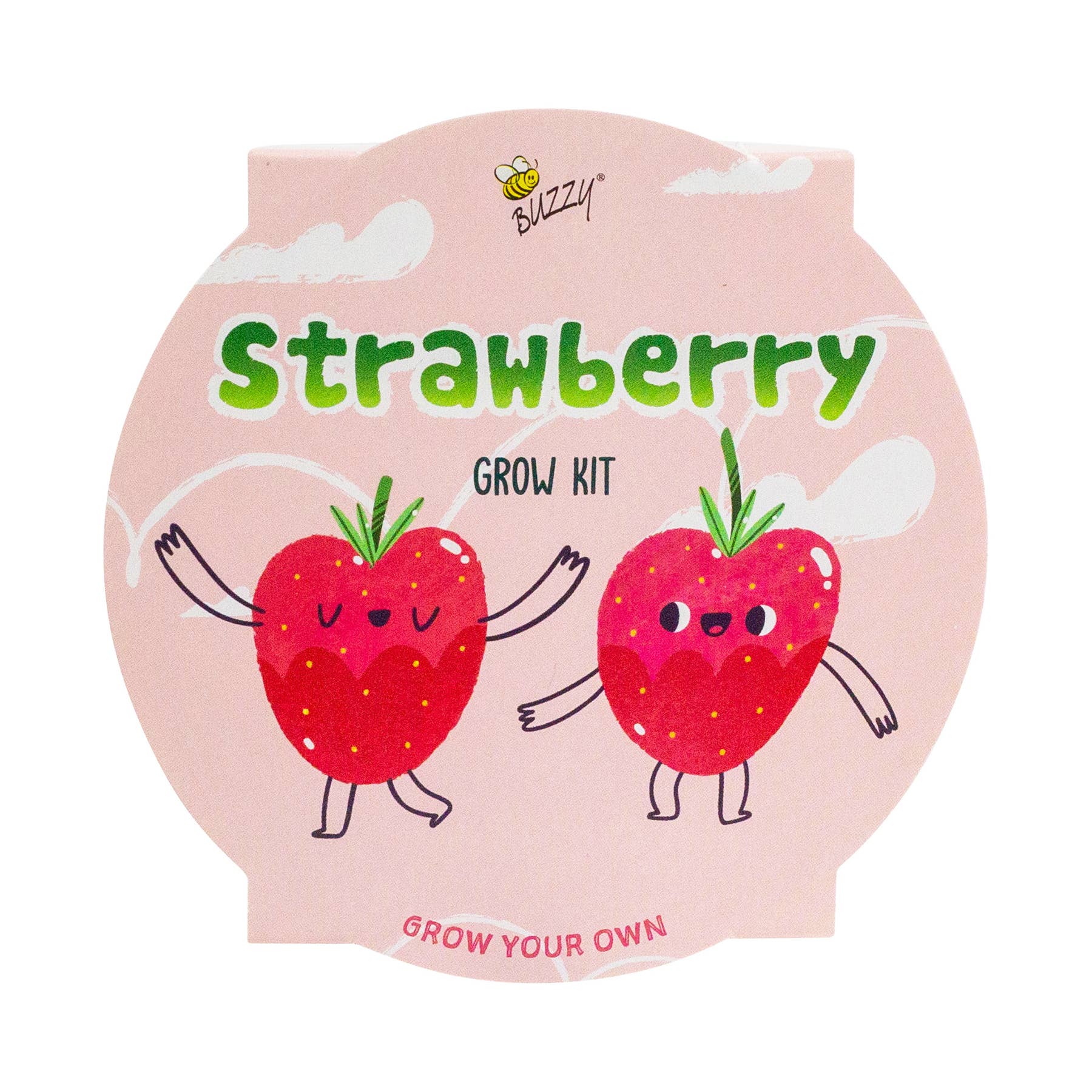 Buzzy Seeds Grow Gifts - Wholesale Plant Seeds - Kids Mini Basin Strawberry Grow Kit – Indoor Garden Gift1