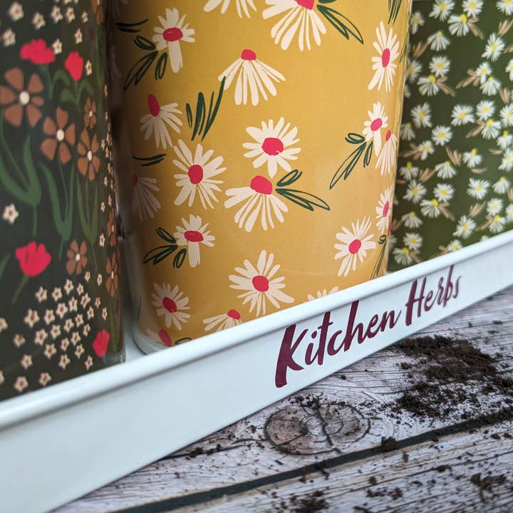Robert Frederick Ltd - Vendita all'ingrosso Vasi per piante - Willow & Belle, set di erbe aromatiche da davanzale, motivo: fiori di prato