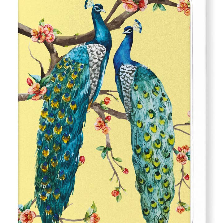 COPPIA DI PAVONI per la vendita all'ingrosso da parte di Ezen Trade