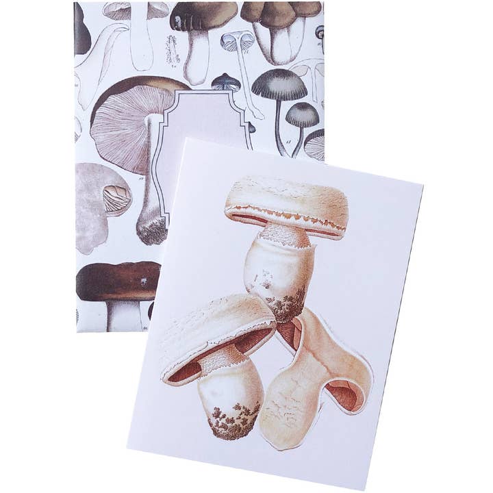 Artistry Cards - Wholesale Stationery/Notecard Set - Boxed Set of 8 Vintage Mushroom Greeting Cards7