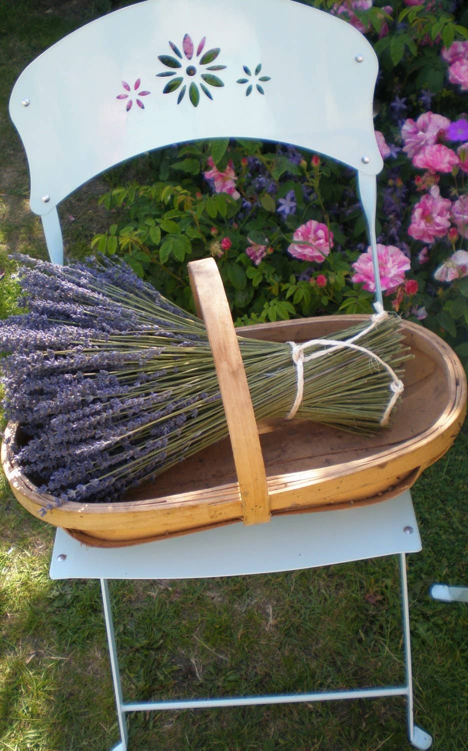 Daisy Gifts Ltd – wholesale Dried/pressed flowers – Large Handmade Dried Lavender Sheaf / Bouquet2