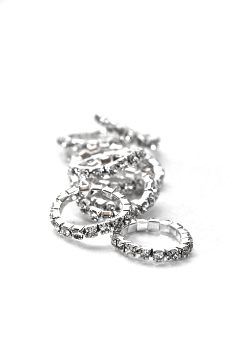 Spiced Equestrian - Wholesale Horseback Riding Gear - Rhinestone Braid Bling10