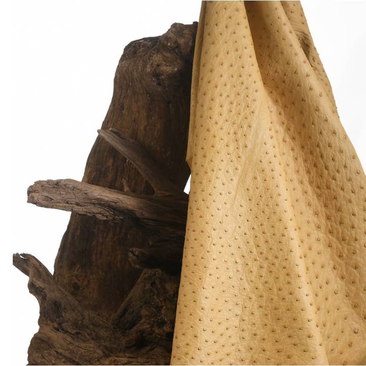 Beige Cream Ostrich Leather for wholesale by MAISON SOLER TANNERIE