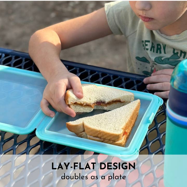 Big Bee, Little Bee - Wholesale Food Storage Container - SoftShell Snap-Close Silicone Food Storage Container6