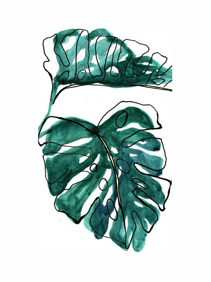 Monstera/Cheese Plant - Greetings Card for wholesale by Maria Zvaric Illustration