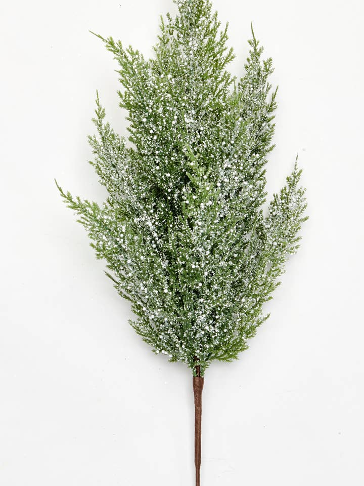 Spray Snowy Cedar, 21 po pour la vente par WORTH IMPORTS