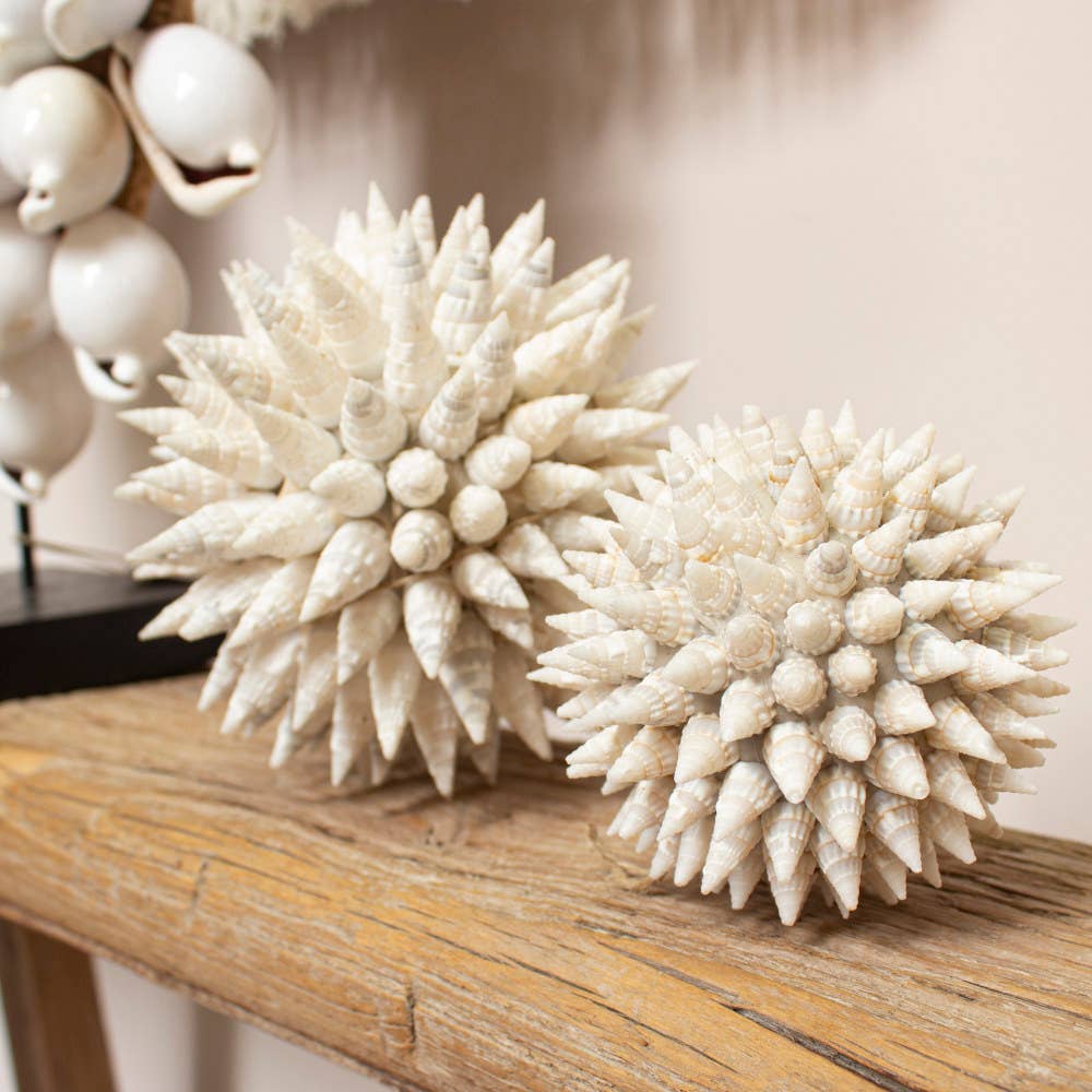 EARTHWARE - Wholesale Decorative Tabletop Object - Deco ball shell Timor S1