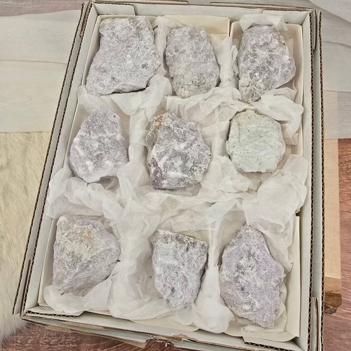 9 pièces de lépidolite brute ~ Cristaux en vrac ~ Minéraux pour la vente par Aquamarine Daydream Wholesale