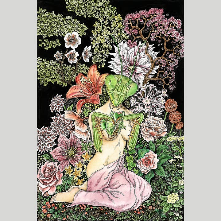 Strangely Rose - Wholesale Art Print - Man Eater- insect art print1
