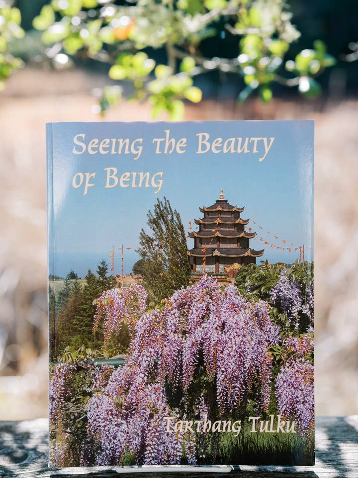 Att se skönheten i att vara för wholesale av Dharma Publishing