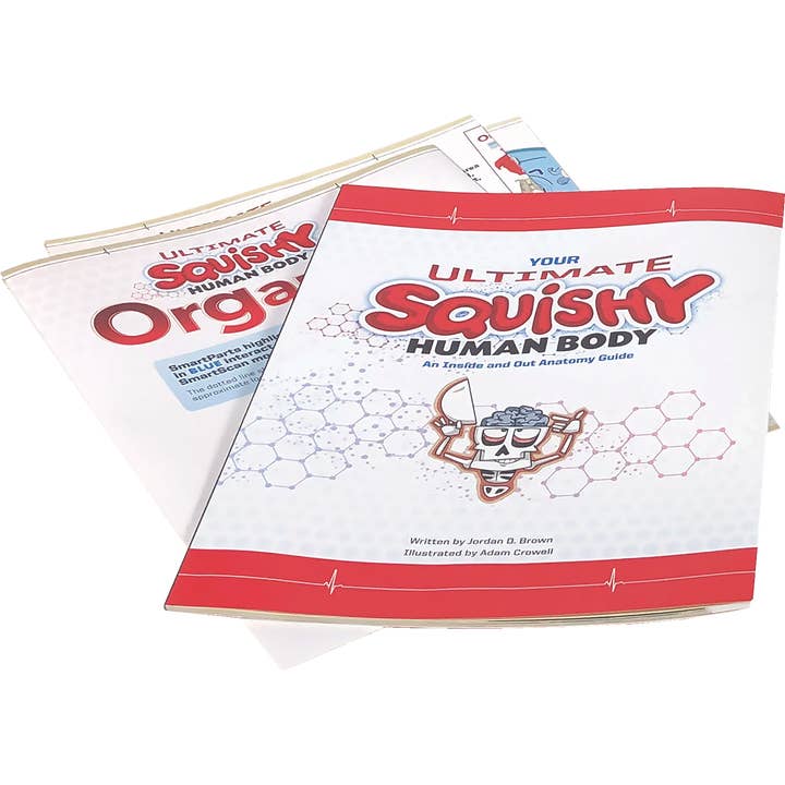 EDC Publishing - Wholesale Toy Set - Kids - Ultimate Squishy Human Body Lab2