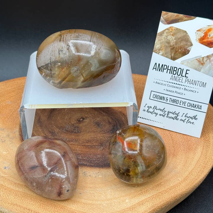 3 Stück Brasilianischer Amphibol Engel Phantom Kiesel Linse H177 für den Großhandel von The 7 Directions